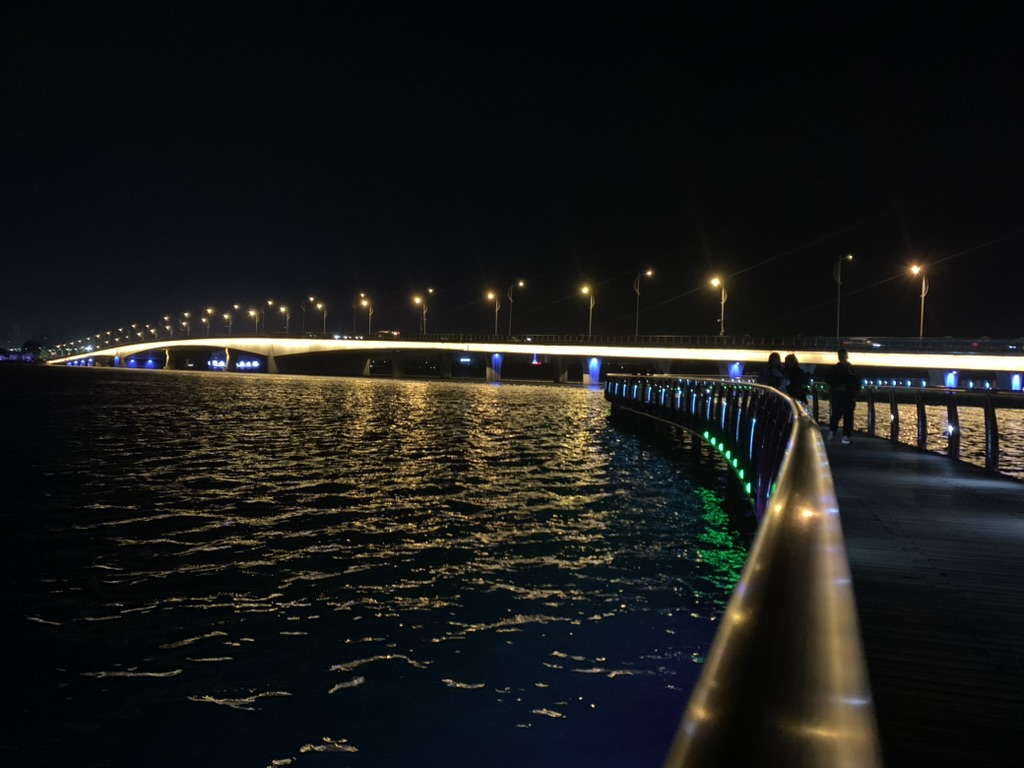 龙子湖